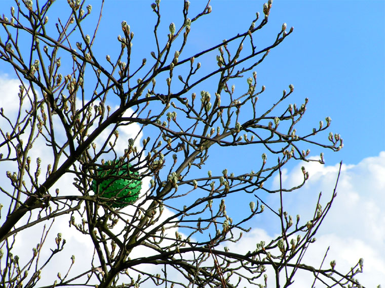 Green ball