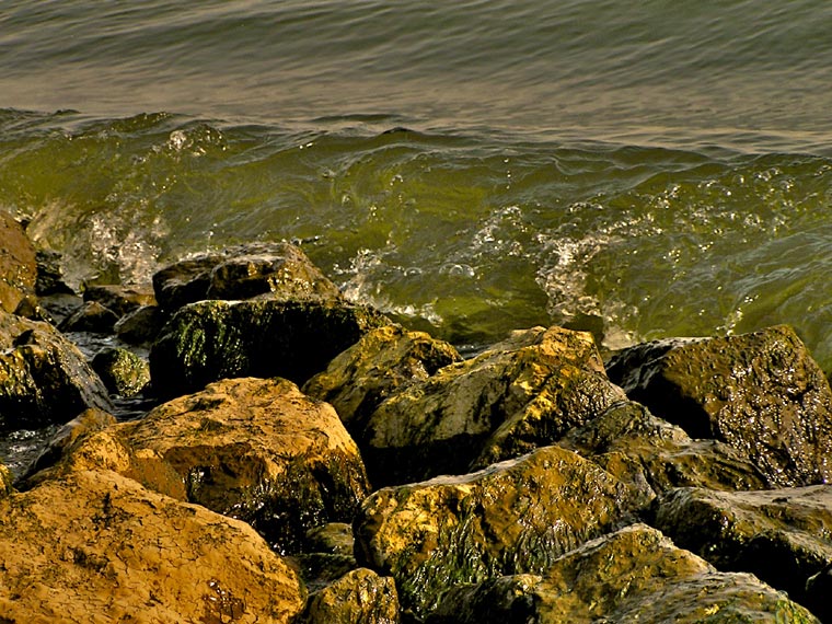 Rocks & water