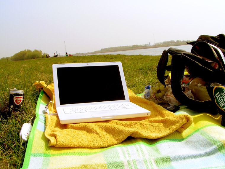 Sunny afternoon