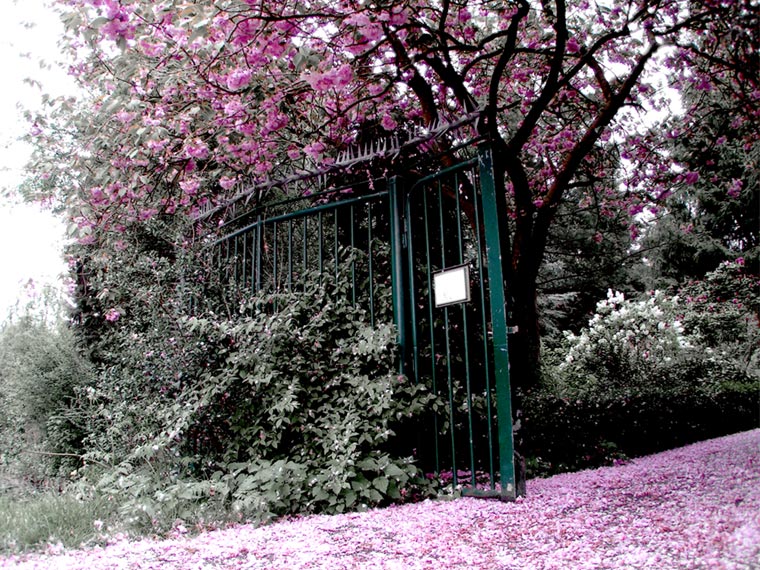 Gate