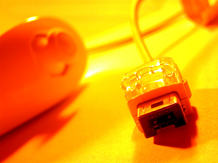 Plug
