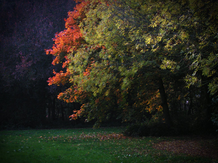 Colours