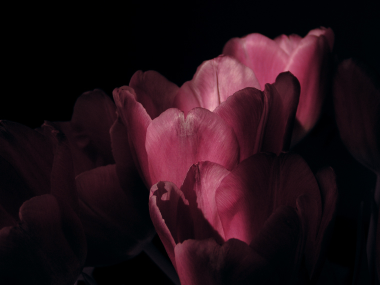 Desaturated