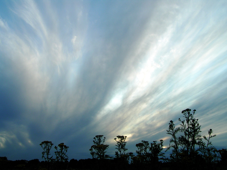 Clouds