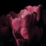 20100120