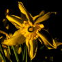 20100301