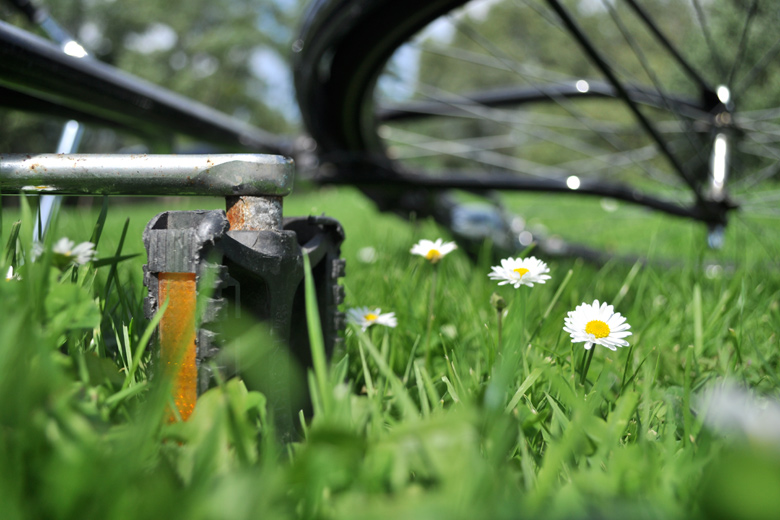 Daisy pedal