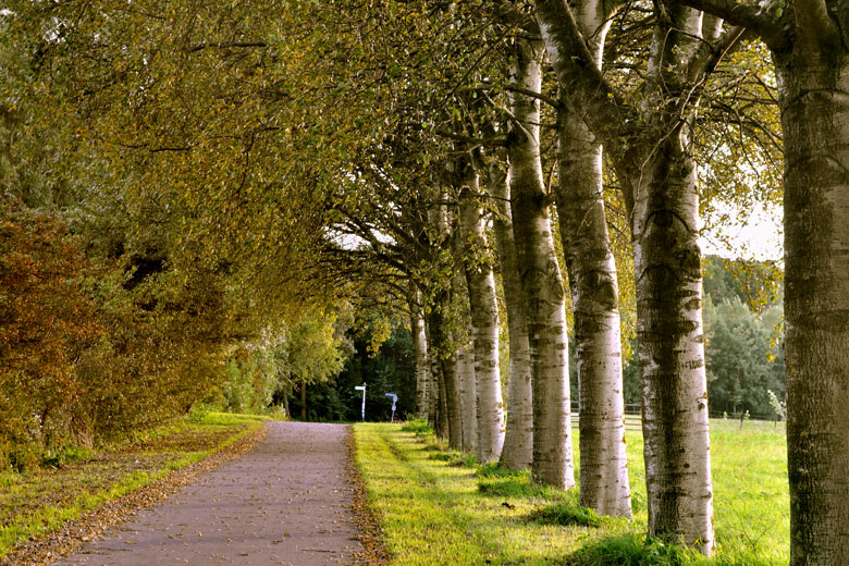 Early autumn